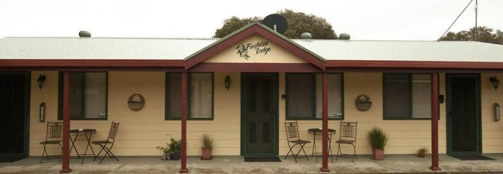 Ficifolia Lodge Parndana Exterior foto